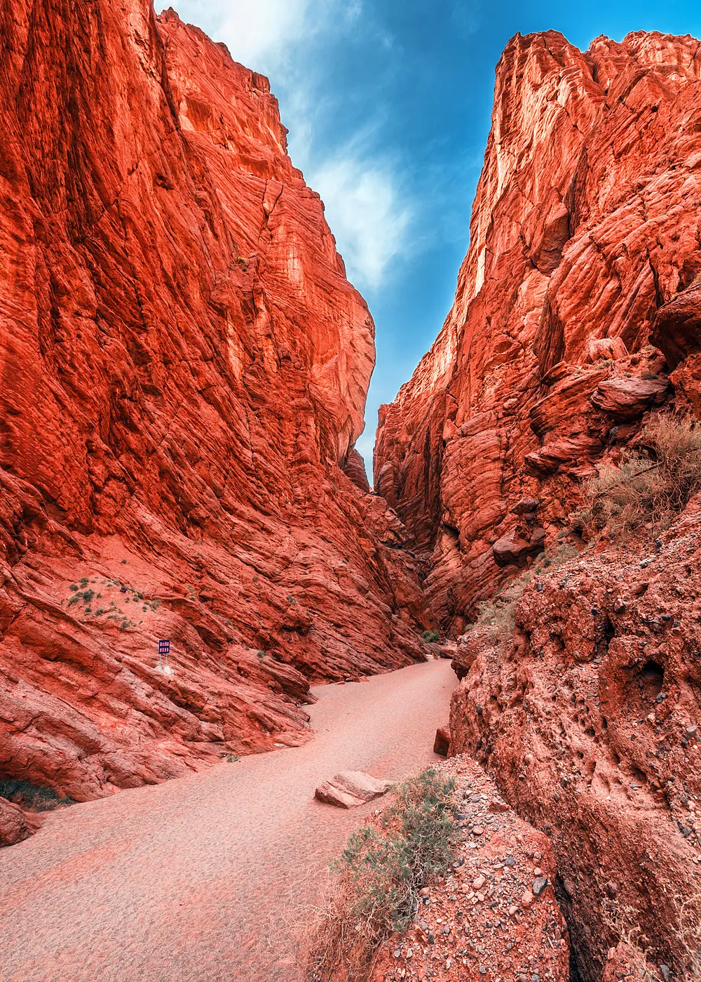 4f22cc2b672f036fe6beebe767ae186b-sz_1764029-1