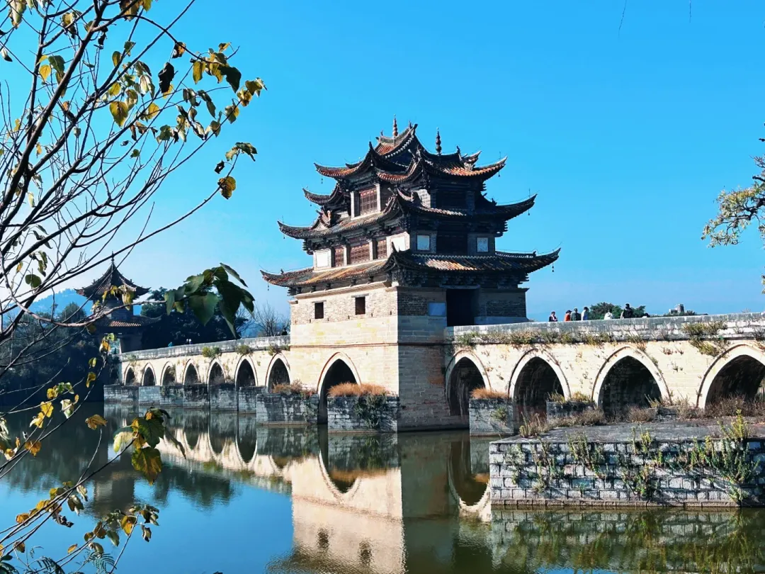 4f351eed46c2623842f261bb76f596b6-sz_3302666