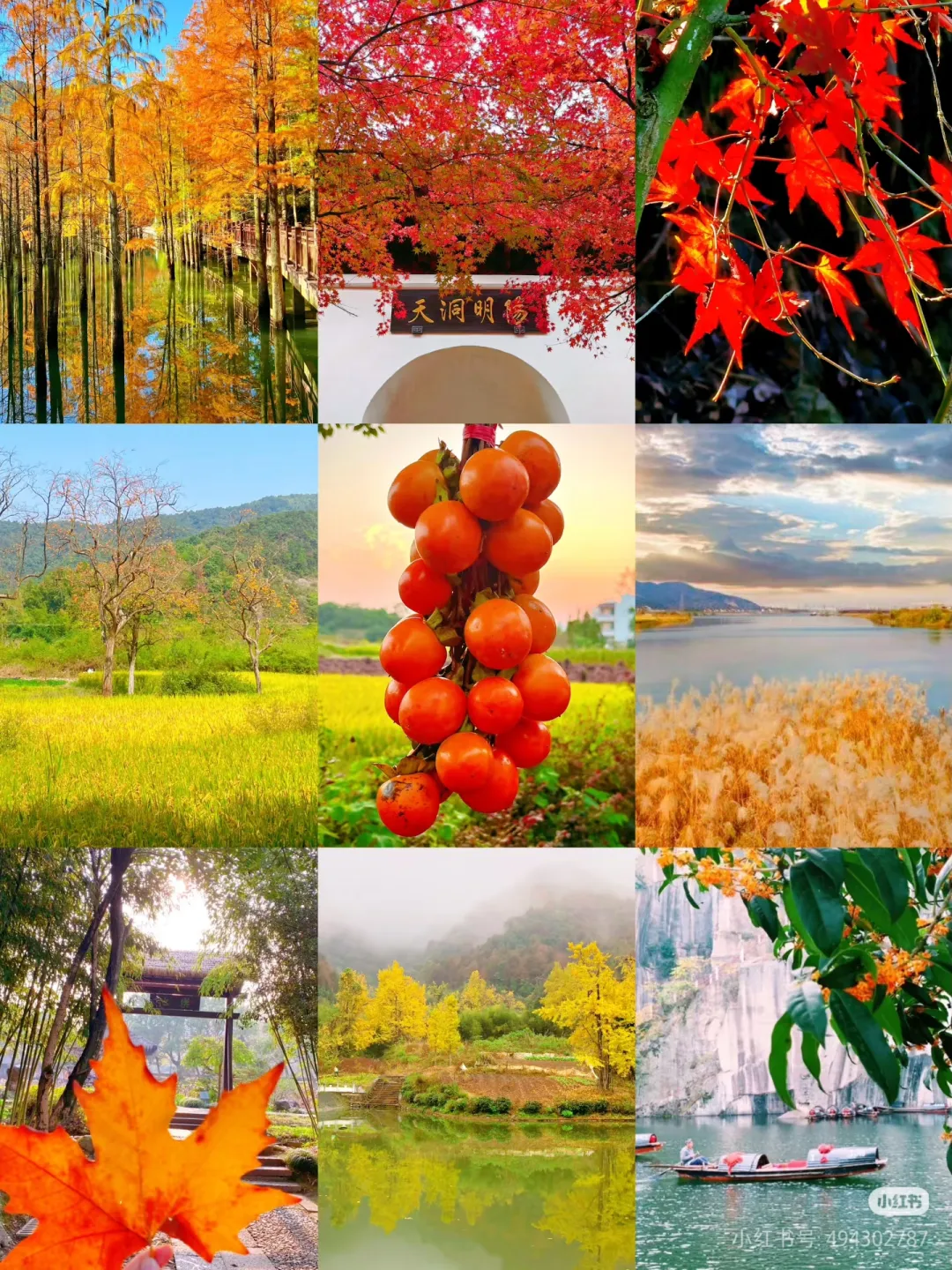 4f9e922d6843ec9cff9fc5222781c0cc-sz_2204016