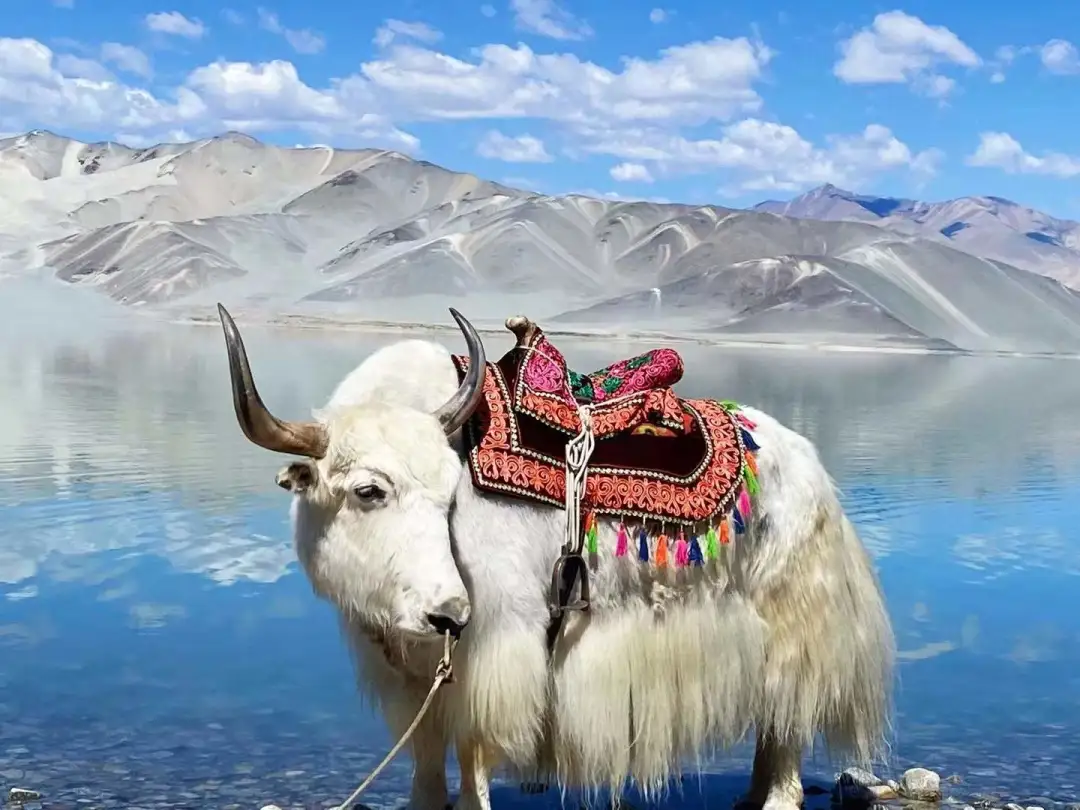 4fb2b492b5dc1ff3a6e14206fa02241b-sz_157455-3