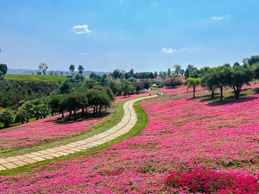 4fb57e4608c42c0fbca19645b8d61f1b-sz_3110602