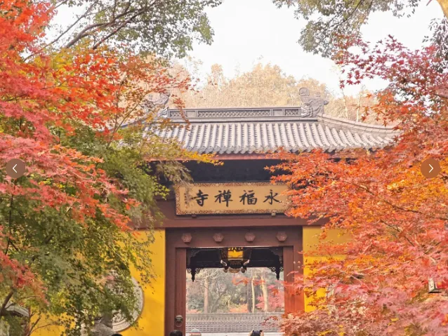 4fbed4f52360c244c6b3a4fc8255c49b-sz_747829 4fbed4f52360c244c6b3a4fc8255c49b-sz_747829