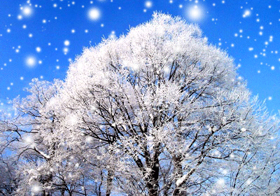 5003cd0adffd858f9de48d9e0e7cf628-sz_438288 5003cd0adffd858f9de48d9e0e7cf628-sz_438288