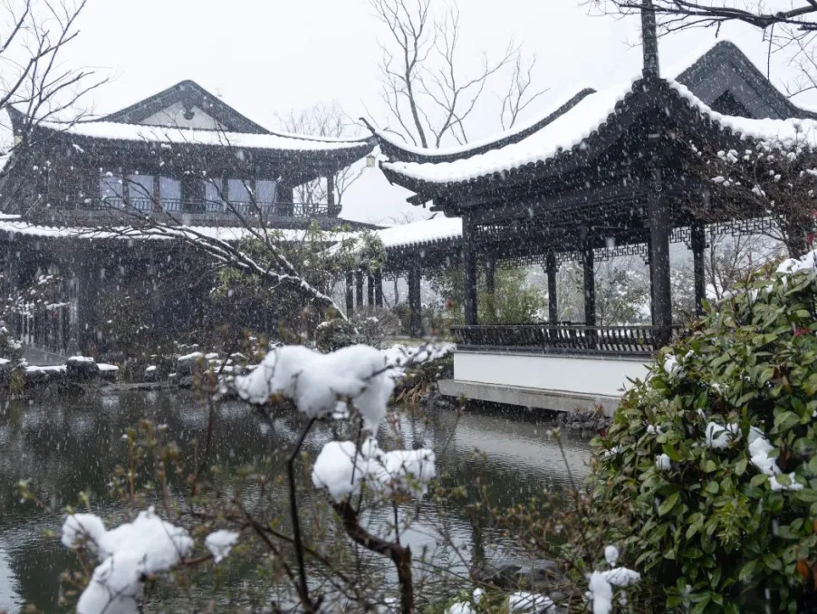 50040ed566d26d89573bf1c8e211d4c1-sz_864437