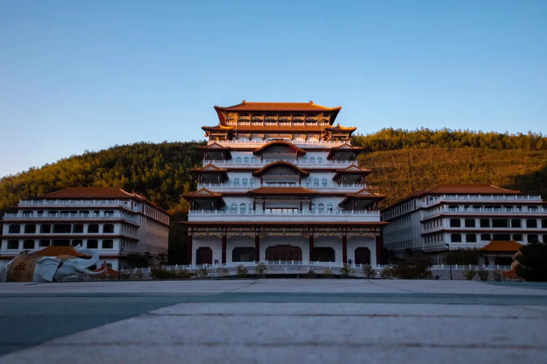 50166de66edd72c6d08f9796e9e91bbd-sz_411547