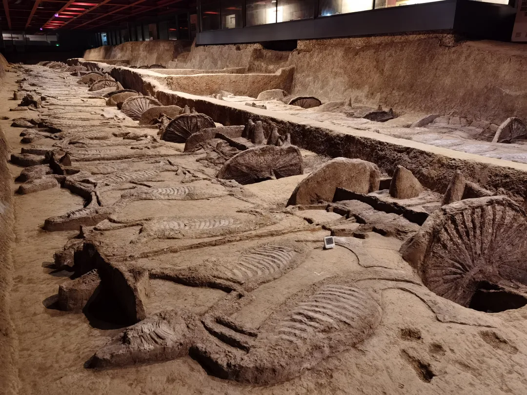 501fa313b3faaf764f0c8e6eebb4b45d-sz_5469246 501fa313b3faaf764f0c8e6eebb4b45d-sz_5469246