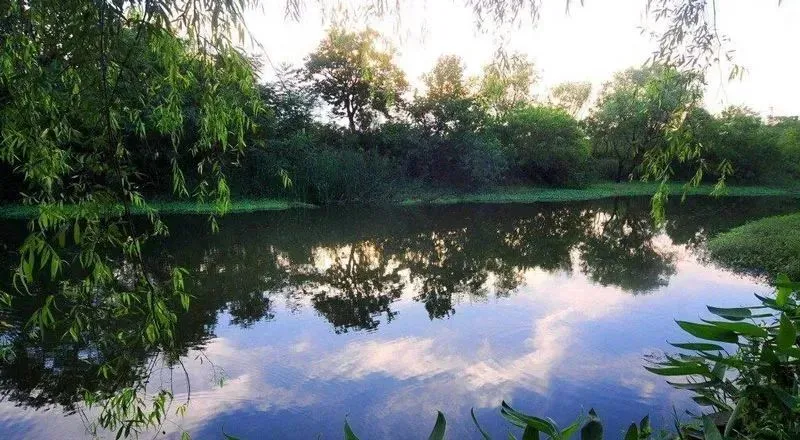 502230cbc828417aa1c8f82549bed144-sz_98399