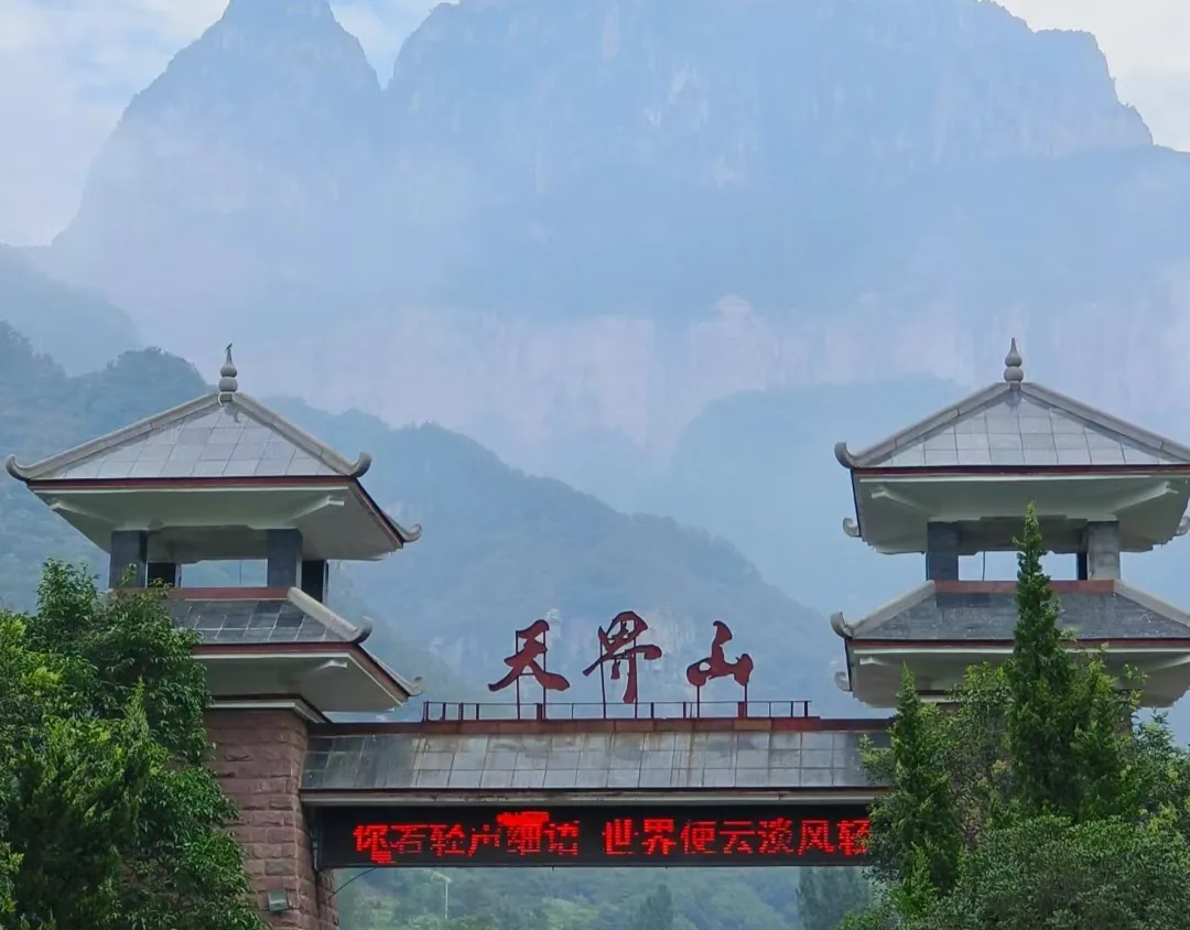 50332733d9c55216a721220df07bb0a8-sz_317584-1