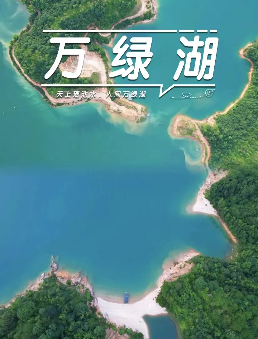 5061174ad0f1a3fb8bf436302bc009ac-sz_474625