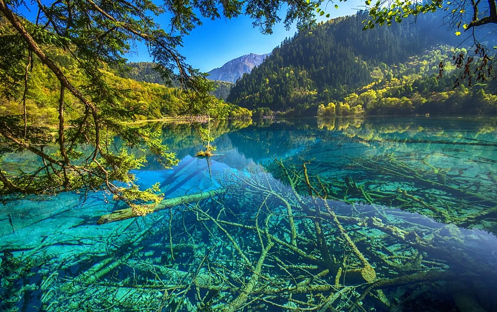 507670f120afe698635efdf362b7fc41-sz_952437-1