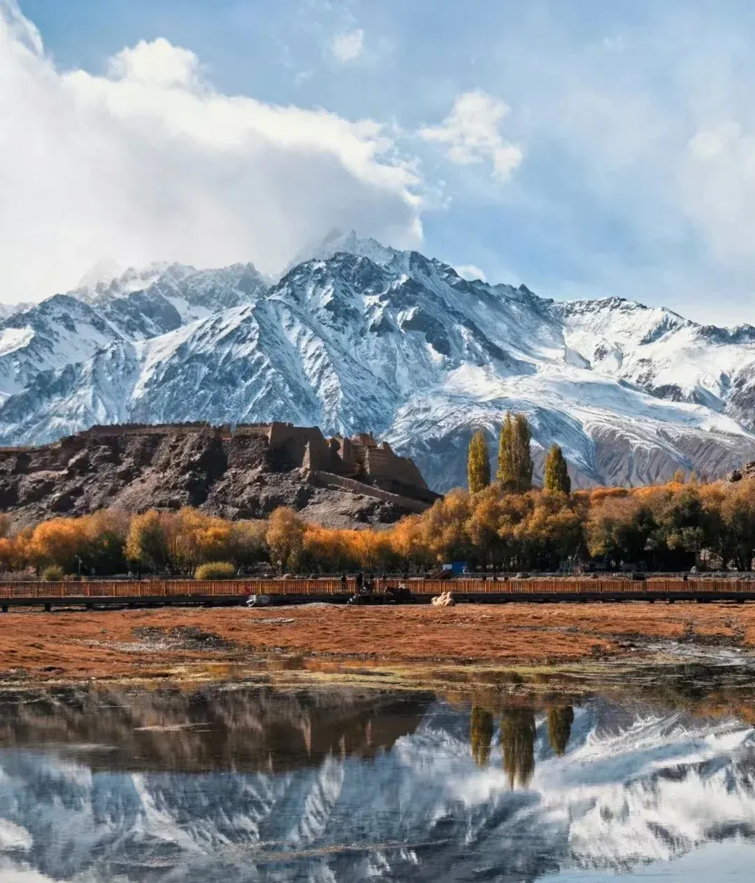 5077c70db40ed9c36b992260e00d7284-sz_2156137 5077c70db40ed9c36b992260e00d7284-sz_2156137