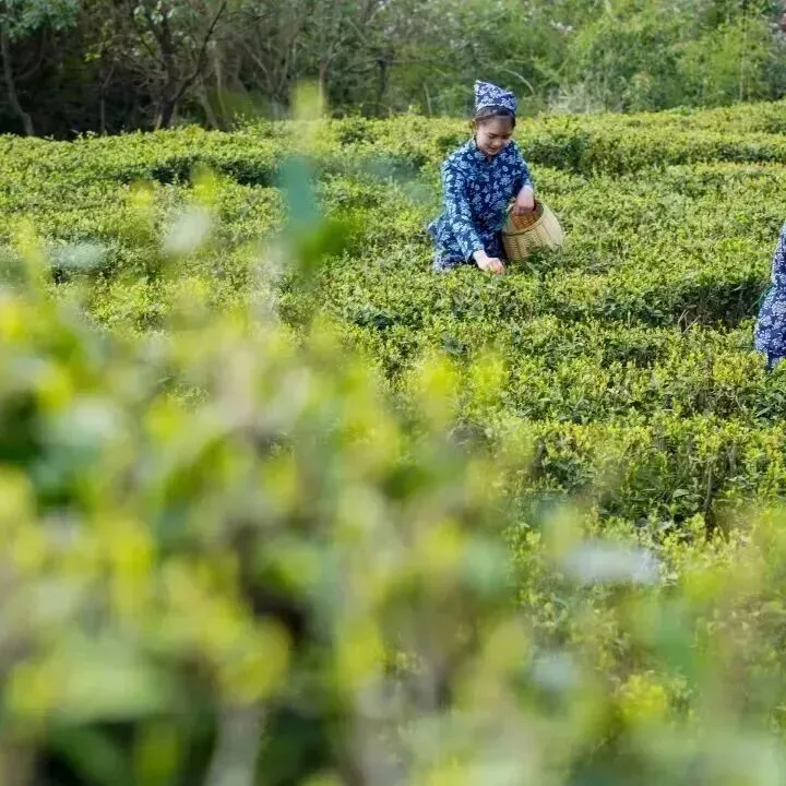 5105d310bb5a0fe5e0dffabf7a861bc2-sz_111879