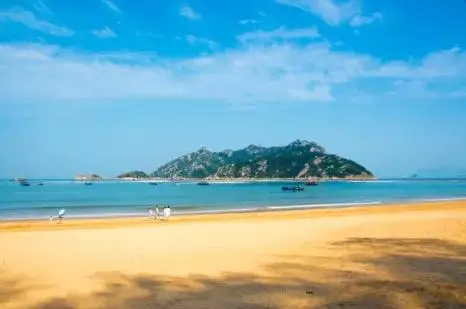 5149790d4497bfaf4fea71d8462ec381-sz_16072