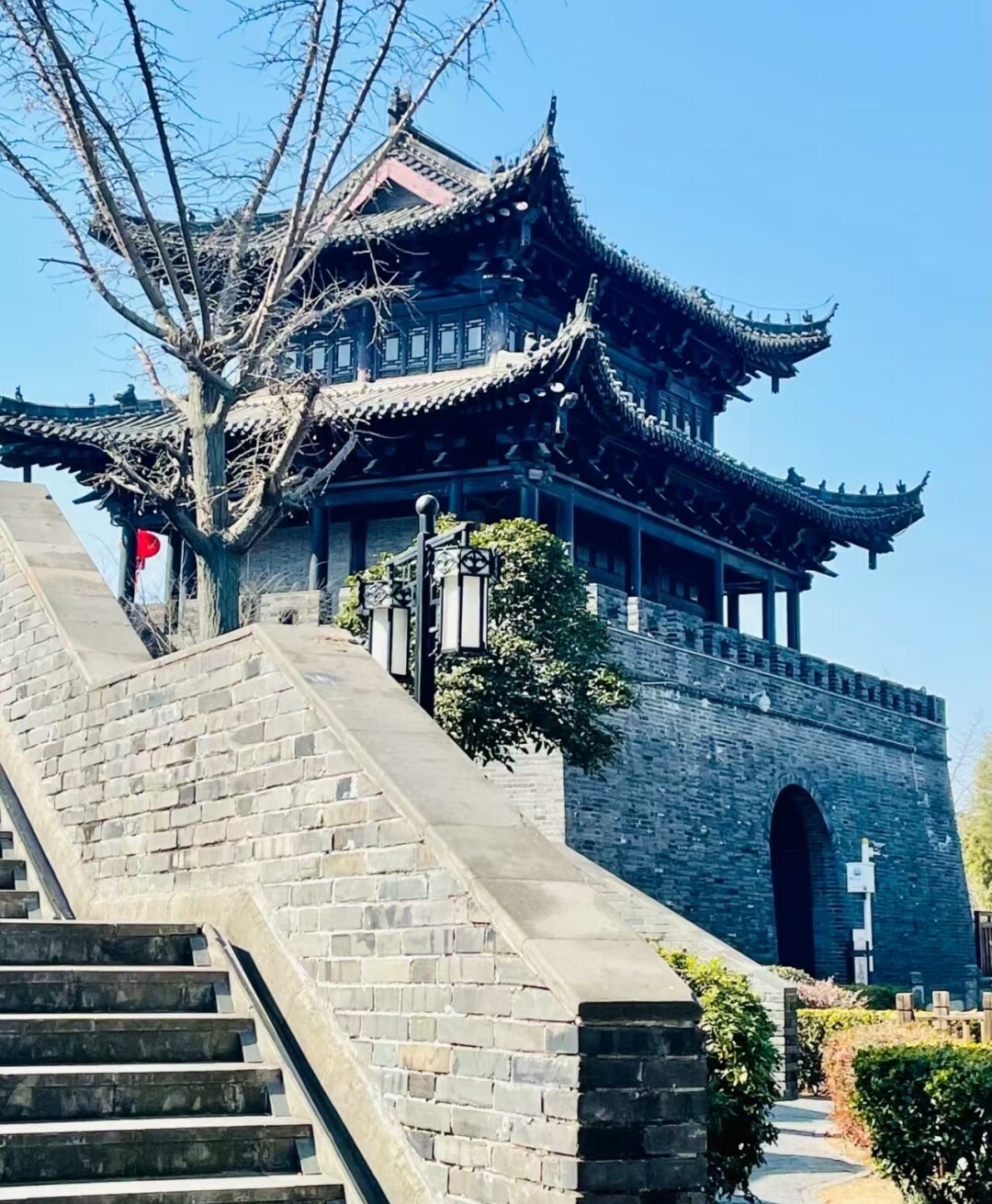 515121308d87367906dda0f1bf956de9-sz_1393188