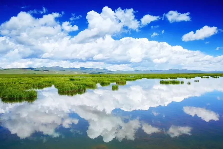 516b4076fcbee90149f8f4b91c5dccee-sz_746792