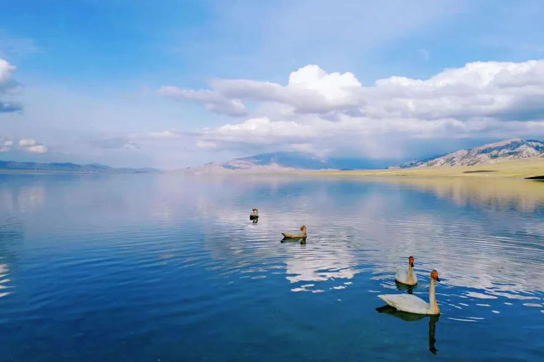 516d90f2f7821f0b3db1a9692924f9b6-sz_949295