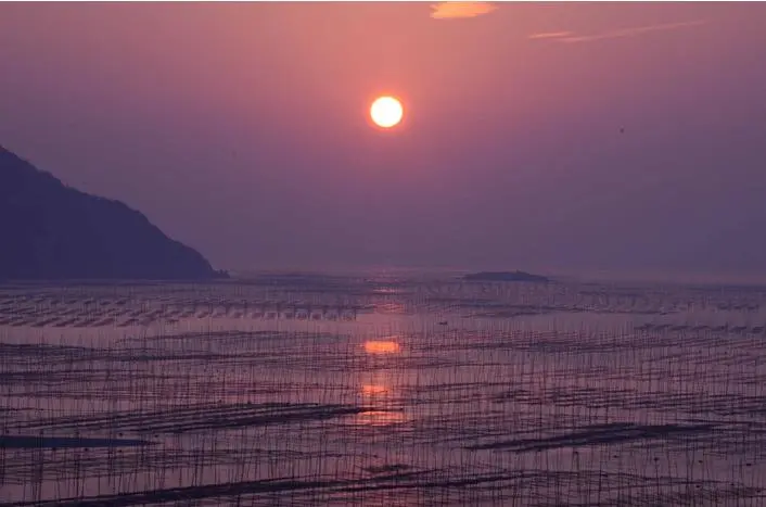 51741f7b66c9255dea6fd58f34771f65-sz_35244