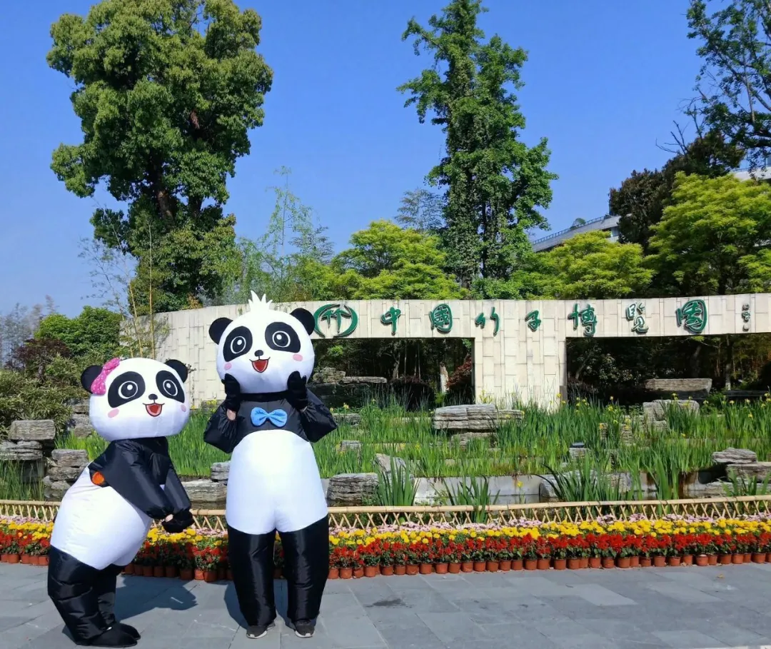 518c98e2a6f15b8efe0fbc6332ff3cc4-sz_339013