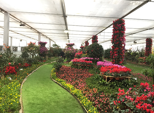 51b3114ee0c2b7f25f4ec96e72c0a2da-sz_666967