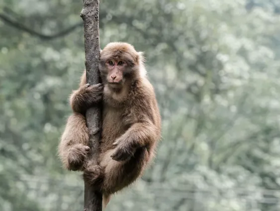 51be847d911bae6ee545222865f73eb9-sz_700422 51be847d911bae6ee545222865f73eb9-sz_700422