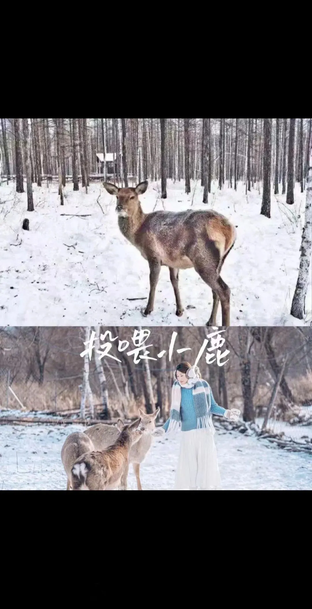 51c1ee93906c9f0b830a1f927cb6a0cc-sz_1888605 51c1ee93906c9f0b830a1f927cb6a0cc-sz_1888605