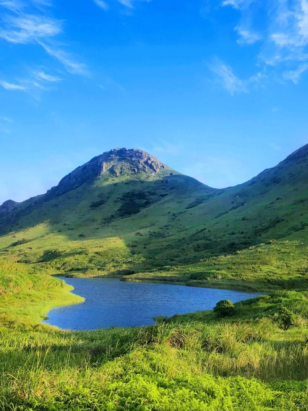 51d2a1c126d1de847231cb369ddd431e-sz_459656