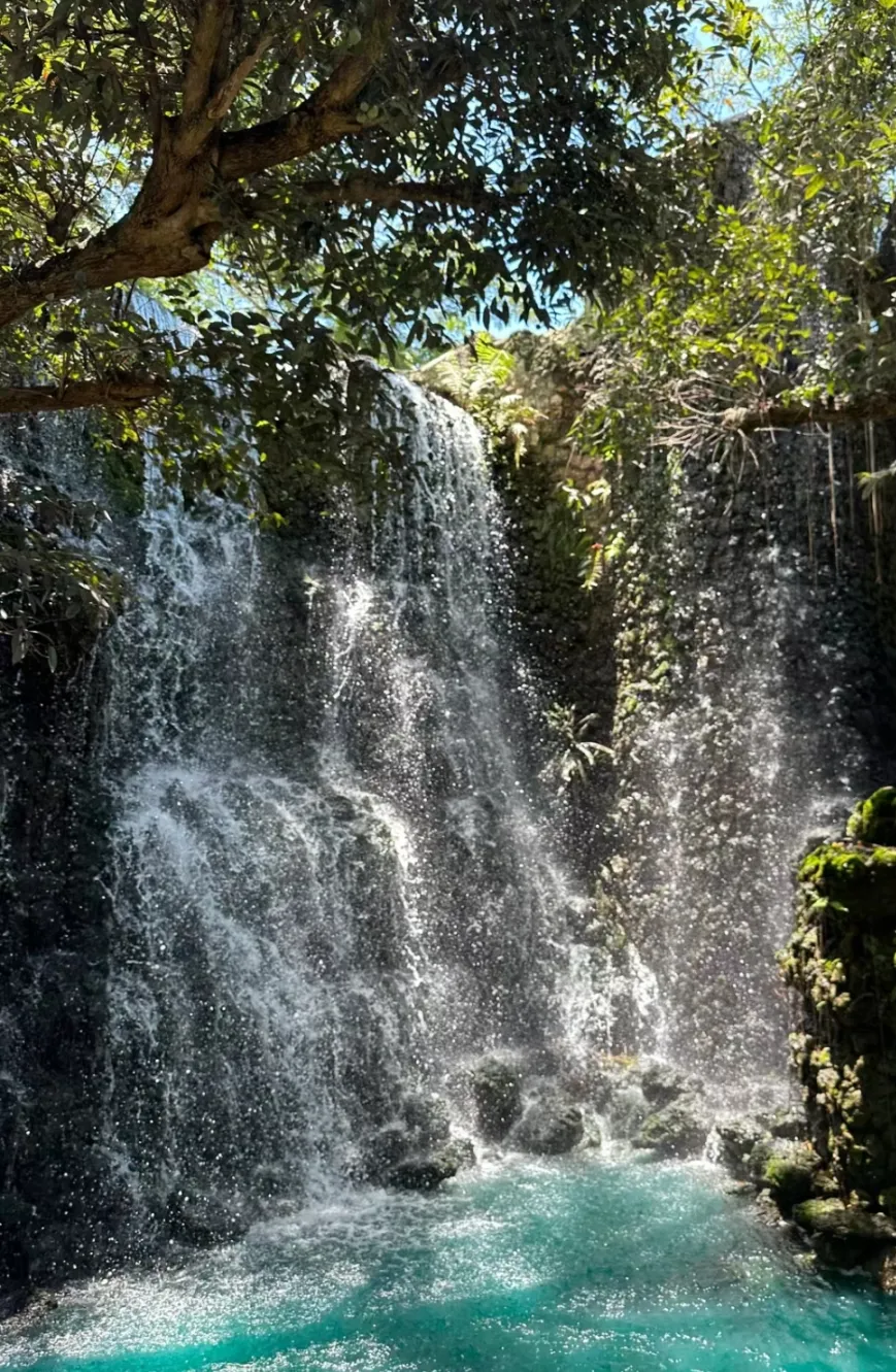 51d62e42c49c76ec9ce186fa87dfb6a8-sz_1500371-1 51d62e42c49c76ec9ce186fa87dfb6a8-sz_1500371-1