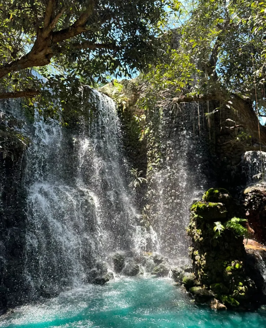 51d62e42c49c76ec9ce186fa87dfb6a8-sz_1500371 51d62e42c49c76ec9ce186fa87dfb6a8-sz_1500371