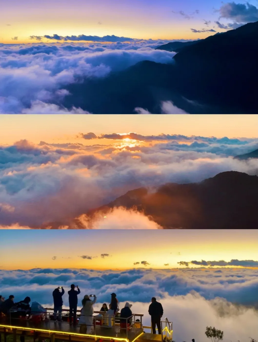 51e02803d94b7cdae3a67bc9f23b36c1-sz_307943