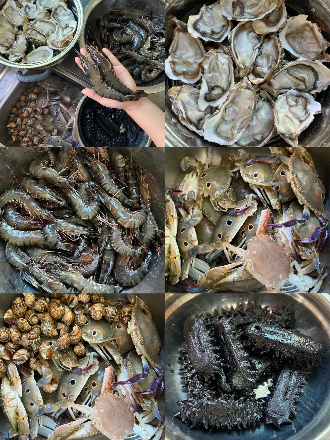 525ca841cbf6cf2a84d6d97519e87ac5-sz_662419 525ca841cbf6cf2a84d6d97519e87ac5-sz_662419