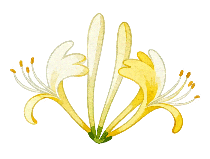 52c10ea37e45ba516bef09ec666d9b73-sz_3898971