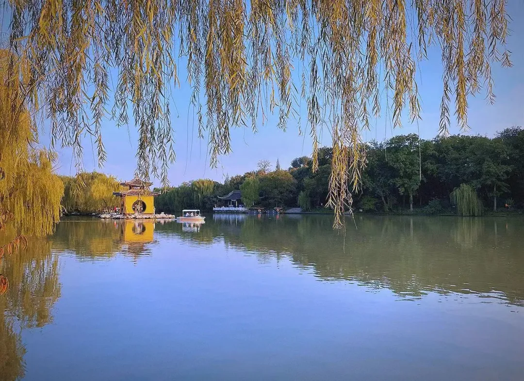 53050caed6d1827c7dcd8168abddbf16-sz_376736