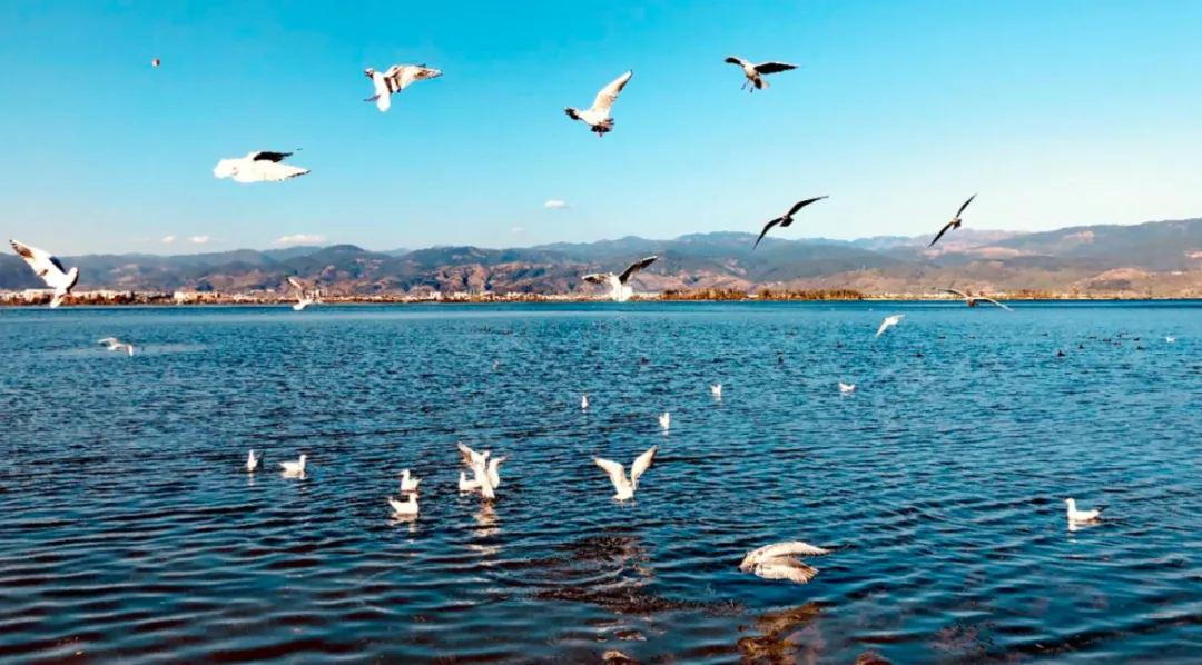 【攀泸西】庆祝东航攀枝花首航 补贴价：2299起优惠价来啦☀住三钻+高级民宿☀全景大凉山●西昌●泸沽湖☀千万别错过哟！约上亲朋来一场暖冬之旅游！