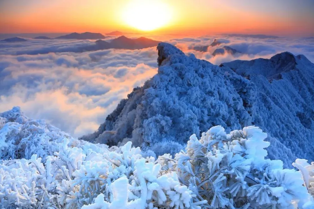 534759dbc0cc15c971d5c7f87ee85411-sz_125004