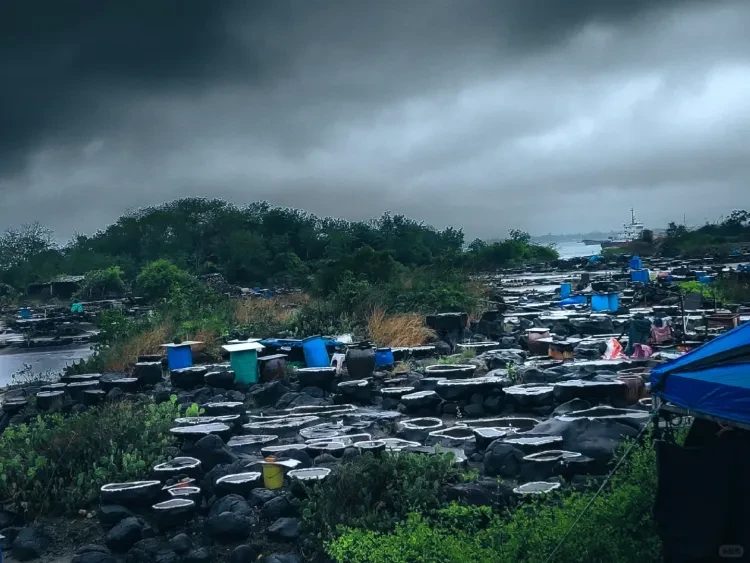 534a7e8e041a55c54d1e6597b586a23f-sz_1909673