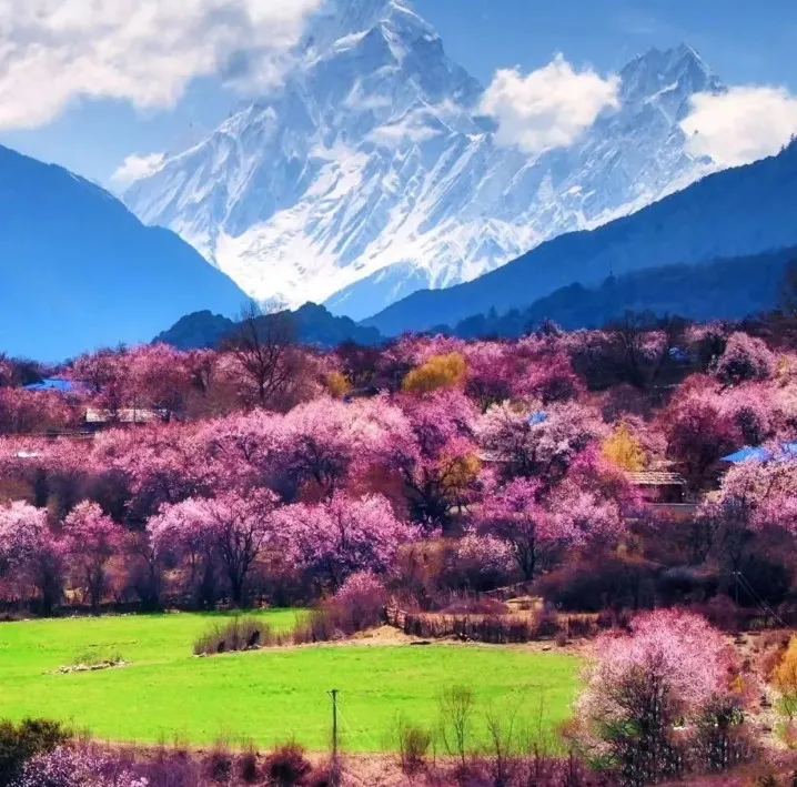 5368d93a93da941592ef066939d3536e-sz_160548 5368d93a93da941592ef066939d3536e-sz_160548