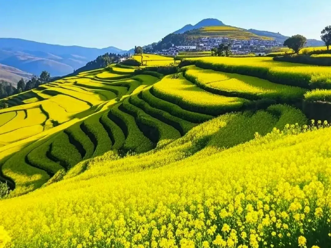 538a85ed5bc15772273c093b98602646-sz_2914203