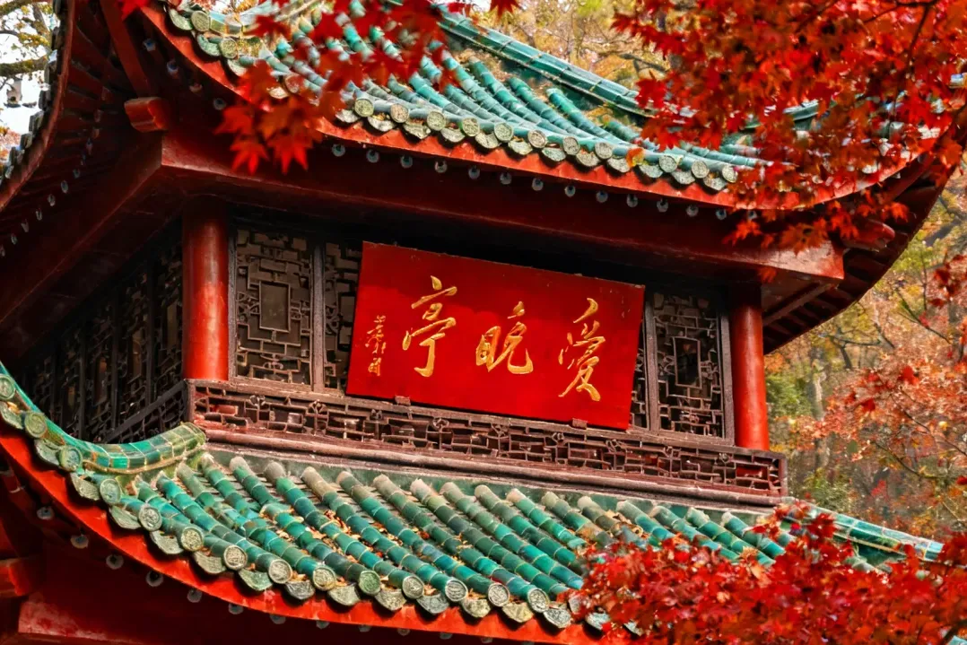 538d601cd1ddf5c6ee8e2e127d5ab119-sz_3849182