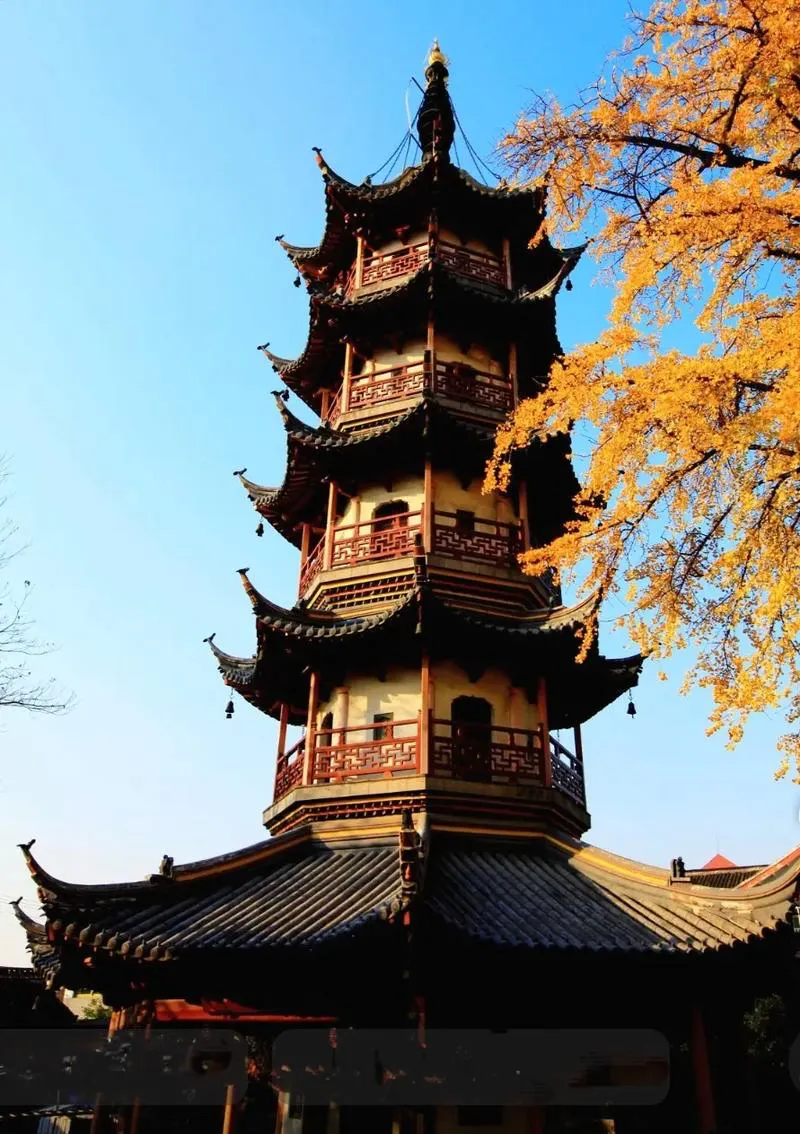 53dd5e13311922aac1191f832db907d4-sz_1070818