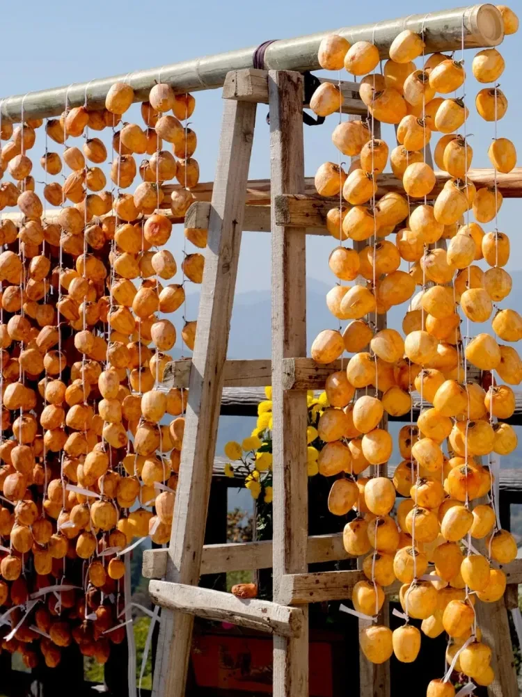 540d21d4b6c2a430bd8a95d770d82a02-sz_299507 540d21d4b6c2a430bd8a95d770d82a02-sz_299507