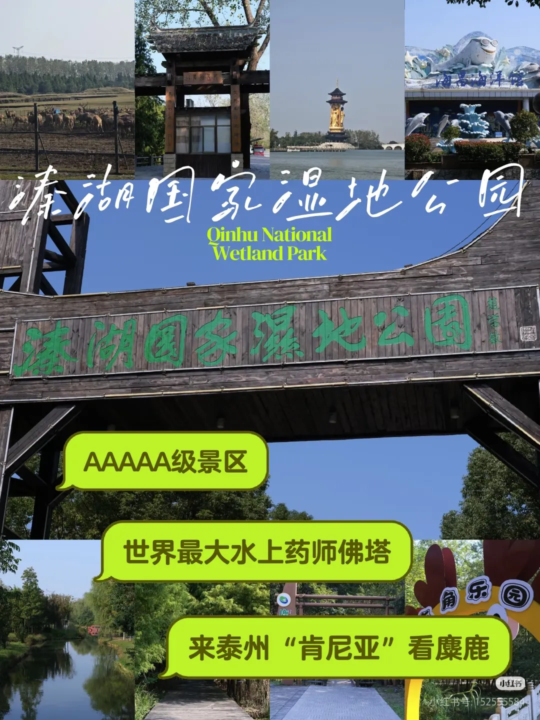 542026a2483261c1910b93400b48a367-sz_970527-1