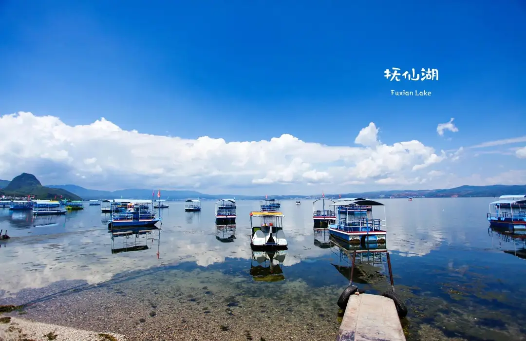 54c3d06c0ad1cb886ffbfddf29326359-sz_182709