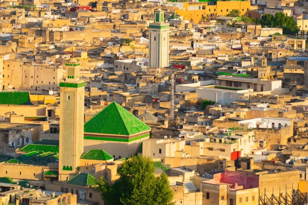 54e7da93eab7b746033c2a928a4e5f19-sz_4777882