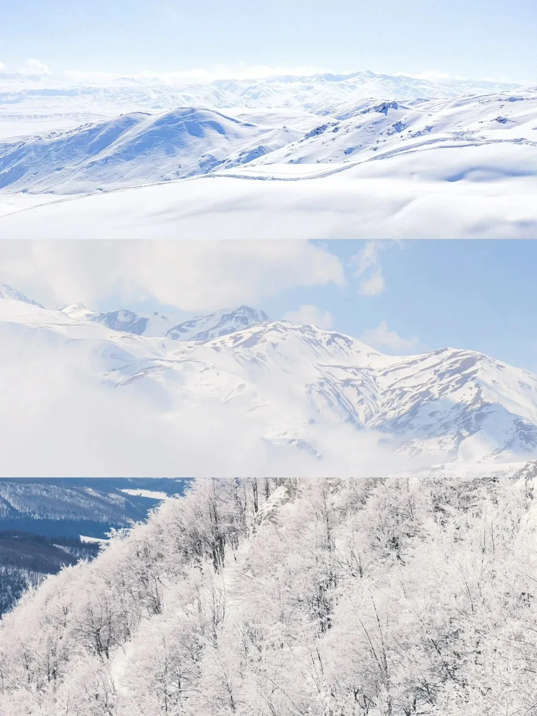 550b7eb5934a463624775b34b780d4df-sz_378685 550b7eb5934a463624775b34b780d4df-sz_378685