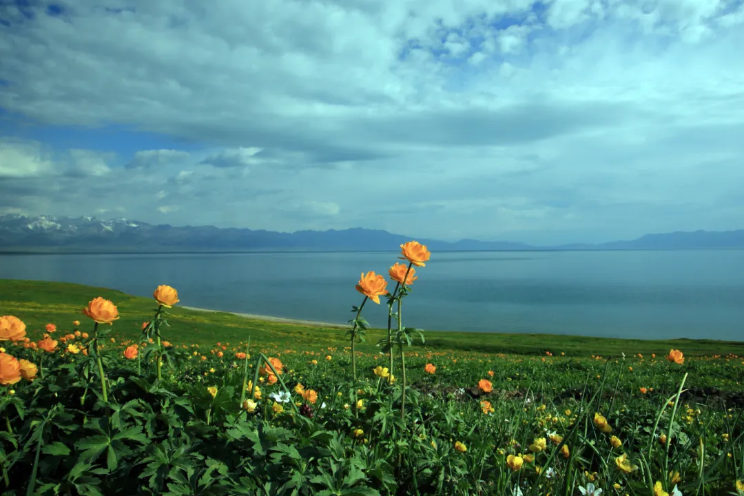 5525d75d23474ca44a912dc6f44a57f7-sz_588095-1