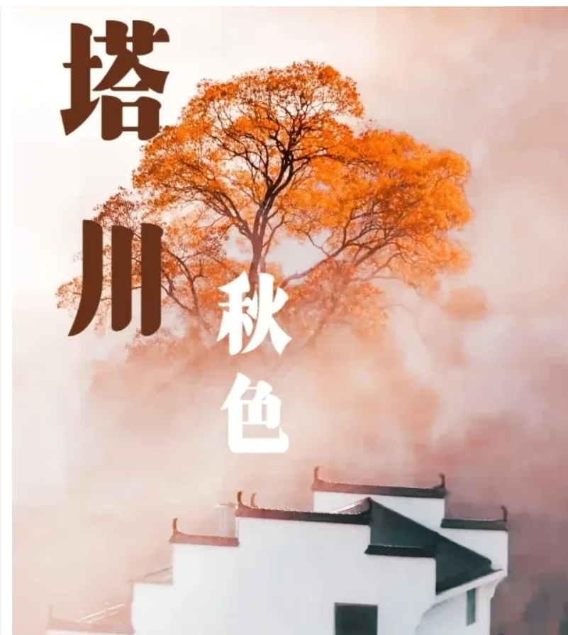 5537e0c012d0c9cf8b5ff58f1dbeaa2a 5537e0c012d0c9cf8b5ff58f1dbeaa2a