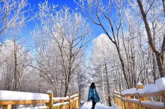 55496184e667632f8e260323bc260f66-sz_151892 55496184e667632f8e260323bc260f66-sz_151892