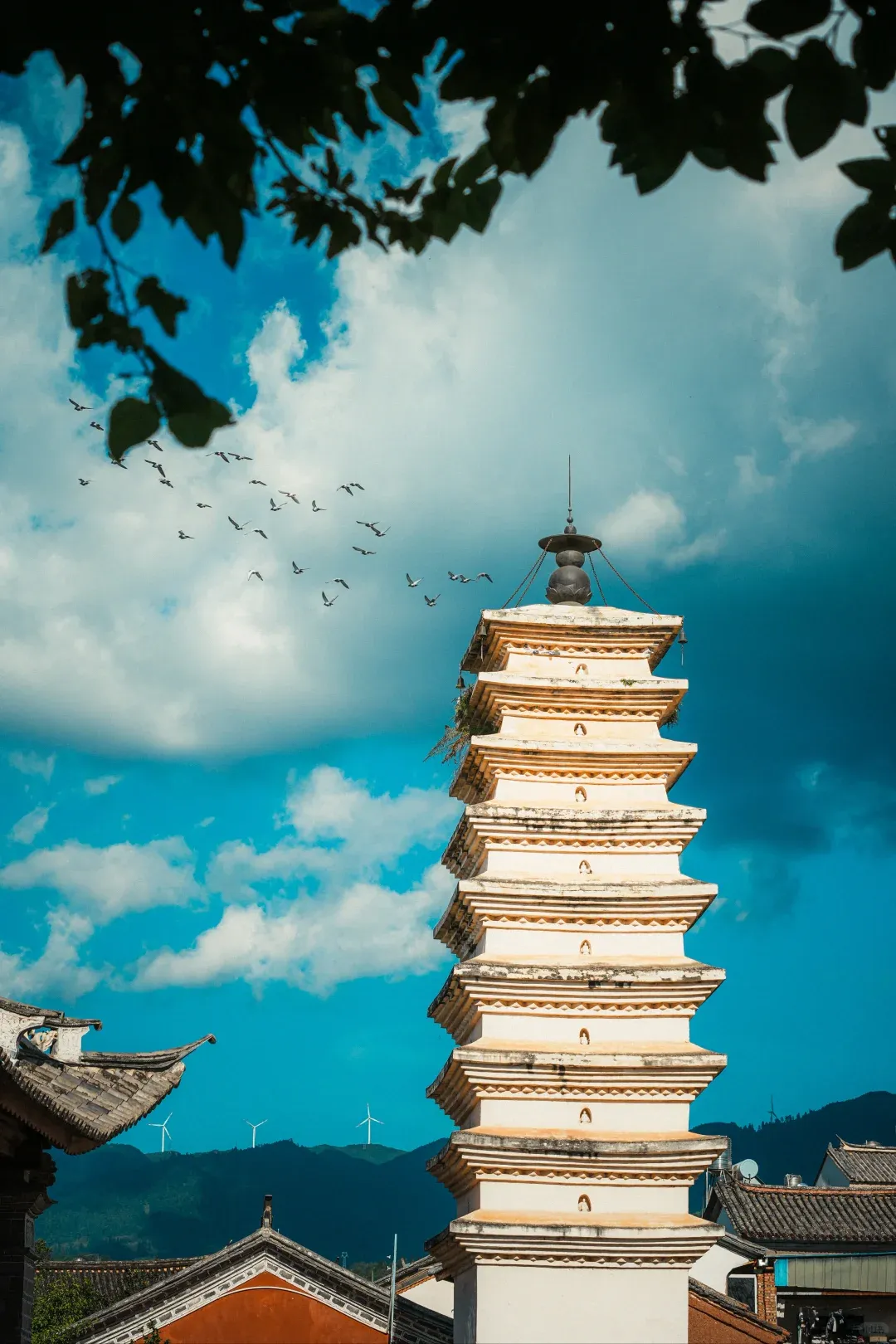 5583afc1a85ac3fbdeedd7e8f693a802-sz_2614712