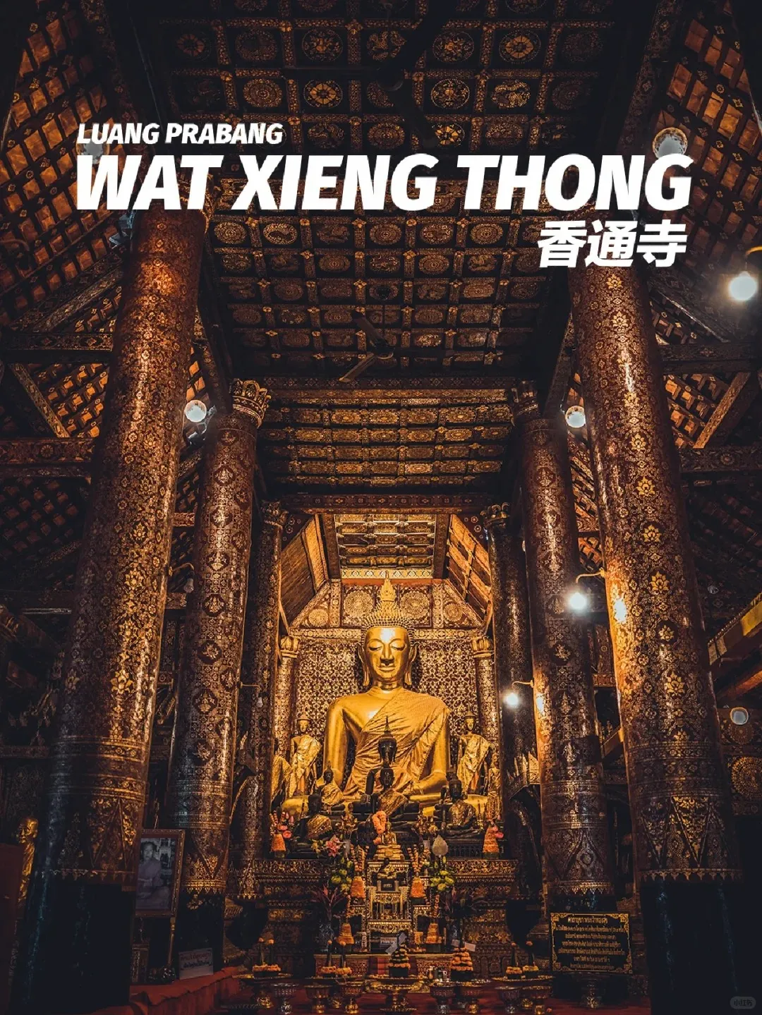 55c2d561e600f674d72d473ad4c88ed0-sz_607969