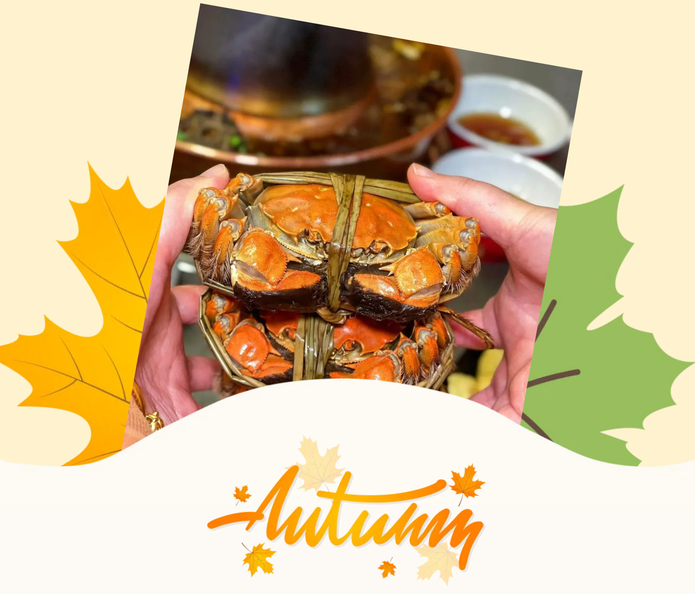 55cefad768cf2e60fb0ffac01225beed